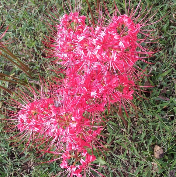 Meet your Posher, Michelle M. - Picture 2 of 5